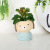 INS Style Cartoon Animal Ceramic Flower Pot Personalized Artificial Flower Succulent Bonsai Creative Animal Ornaments