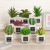 Factory Direct Supply Simulation Green Plant Multiple Styles Cactus Lotus Succulent Pot Office Home Beautiful Ornaments