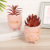 European and American Ins Style Simulation Green Plant Cactus Sago Cycas Small Green Plant Decoration Office Living Room Desktop Small Ornaments