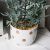 New Nordic Style Simulation Plant Ceramic Potted Plant Bonsai Shopping Window Cafe Clothing Store Greening Decorations