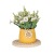 Fashion Nordic Style Simulation Daisy Pot Plant Fake Flower Decoration Small Bonsai Home Decorations Cross-Border Wholesale