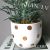 New Nordic Style Simulation Plant Ceramic Potted Plant Bonsai Shopping Window Cafe Clothing Store Greening Decorations