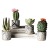 Hanlv Creative Simulation Cactus Craft Bonsai Table Decorative Ornaments Home Decoration Potted Plant