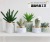 INS Style Nordic Bonsai Artificial Succulent Pant Fake Flower and Greenery Decoration Living Room Interior Cactus Bonsai Ornaments