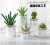 INS Style Nordic Bonsai Artificial Succulent Pant Fake Flower and Greenery Decoration Living Room Interior Cactus Bonsai Ornaments