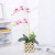 Hand-Feeling Phalaenopsis Emulational Flower Decoration Home Living Room Interior Dining Table Fake Flowers Decorative Single Floral Factory Wholesale