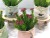 Factory Supply Living Room Home Furnishings Flower Arrangement Plastic Decorations Tea Table Decoration Small Emulational Pot Plant Dining Table Fake Flowers