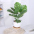 Nordic Ins Ficus Lyrata Potted Large Leaf Simulation Plant Indoor Living Room Four Seasons Simulation Green Plant Factory Wholesale