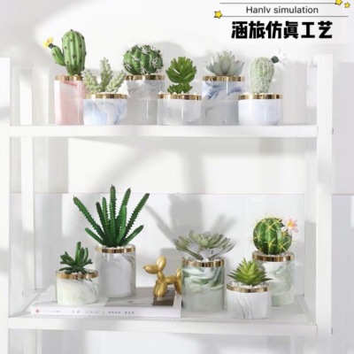 INS Style Nordic Bonsai Artificial Succulent Pant Fake Flower and Greenery Decoration Living Room Interior Cactus Bonsai Ornaments