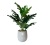 Nordic Cement Pots Monstera Simulation Plant Pot Household TV Cabinet Table Decoration Pot Simulation Plant