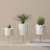 Nordic Morandi Style Design Electroplating Iron Frame Ceramic Flower Pot Simulation Succulent Flower Pot Pot Combination Plant Ornaments