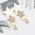 Geometric European and American Exaggerated Earrings Five-Pointed Star Vintage Ear Jewelry Long Stainless Steel Large Earrings Cross-Border Hot Sale