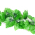 Artificial Grape Leaves Fake Flower Rattan Green Leaf Green Radish Vine Plant Water Pipe Ceiling Decorative Plastic Leaves