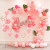 Internet Celebrity Pomegranate Red Wedding and Wedding Celebration Supplies Women's Wedding Room Decoration Wedding Scene Layout Romantic Balloon Chain Set