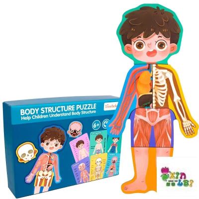Body Structure Puzzle Human Organ Cognition Boys Girls Children Wooden Educational Toys