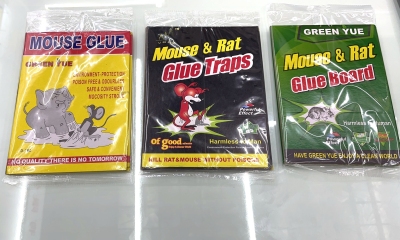 Mouse Glue Mouse Sticker Glue Mouse Traps