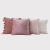 INS Nordic Style Living Room Sofa Decoration Cushion Lumbar Cushion Cover Solid Color Velvet Tassel Pillow Cover Bedside Backrest