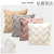 Pillow Cross-Border Ins Hot Sale Plush Pillowcase Household Goods Sofa Living Room and Bedside Cushion Lumbar Pillow Customization