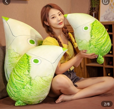 Cabbage Bird Pillow Doll Plush Toys to Sleep with Doll Ragdoll Large Pillow for Girls Sleeping Birthday Gift