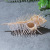 Natural Shell Conch Fish Tank Landscape Wedding Home Furnishing Crafts Accessories Conch Witch Conch Venus Rock Shell