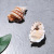 Factory Direct Sales 5-9cm Conch Shell Window Decoration Fish Tank Landscape Specimen Conch Twist Triton