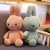 Dutch Miffy Miffy Rabbit Soothing Doll Plush Toy Cute Doll Baby Birthday Present