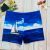 New Adult Swimming Trunks Men's Boxer Pattern Large Size Hot Spring Beach Pants Loose Men's Swimming Trunks Factory Wholesale