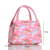 Cartoon Lunch Box  Handbag Picnic Heat and Cold Insulation Fashion and Environment-Friendly Pinny Thermal Bag Lunch Bag