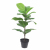 Nordic Indoor HomeSofa and Tea Table  Wall Decoration Simulation Rubber Leaf Green Small Handle Beam Green Plant Bonsai