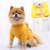 Products in Stock New Autumn and Winter Pet Sweater Hooded Two Feet Apparel Net Red Pocket Bear Yellow Small and Medium Sized Cat Dog Clothes