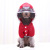 New Products in Stock Dog Reflective Raincoat Water-Retaining Hooded Wine Red Cross-Border Medium and Large Dog Pet Clothes