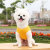 New Summer Pet Vest Cotton Comfortable Cool Breathable Dog Clothes in Stock Wholesale Pet Supplies