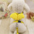 Pet Harness Angel Wings Dog Rope Leash Cat Traction Belt Foreign Trade Cross-Border Factory in Stock Wholesale