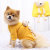 Products in Stock New Autumn and Winter Pet Sweater Hooded Two Feet Apparel Net Red Pocket Bear Yellow Small and Medium Sized Cat Dog Clothes