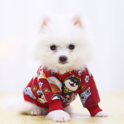 Products in Stock New Autumn and Winter Fashion Brand Japanese-Style Pet Two-Leg Sweater round Neck Cross-Border Small and Medium Size Pet Clothes