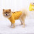 Products in Stock New Autumn and Winter Pet Sweater Hooded Two Feet Apparel Net Red Pocket Bear Yellow Small and Medium Sized Cat Dog Clothes