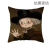 Spoof Van Gogh Famous Cartoon Portrait Pillow Cover Wholesale Custom Cartoon Anime Home Sofa Cushion Cushion Cover