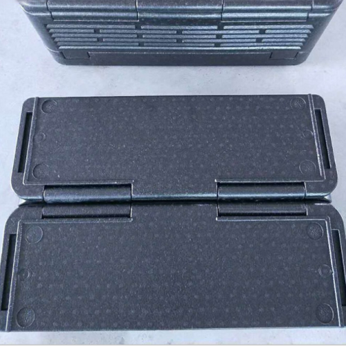 outdoor picnic thermostat car storage refrigerator