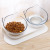 New Products in Stock Cat Bowl Transparent Double Bowl Plastic Neck Protection Cat Ear Bowl Cross-Border Pet Supplies