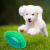 Spot Pet Toy Ball Sounding Luminous Rugby Rubber Teeth Cleaning Bite-Resistant Interactive Dog Toy