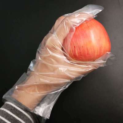Disposable Gloves Individually Packaged Plastic Thickened Film Boxed Wholesale PE Food Grade Factory Wholesale