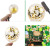 Amazon Hot Sale Jungle Party Balloon Arch Green Balloon Decoration Green Balloon Forest Series Suit