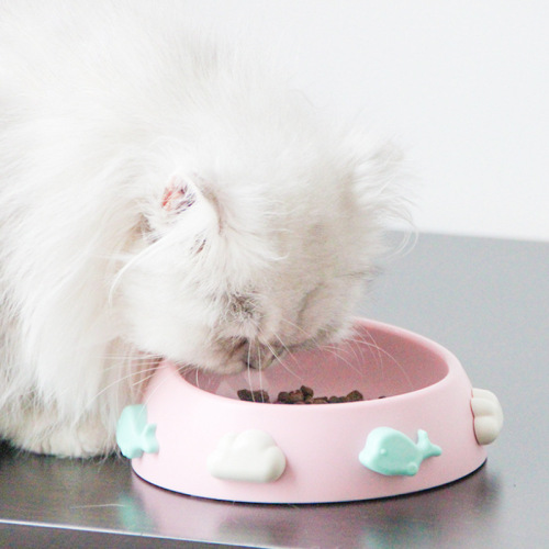 new creative rainbow  bowl pet food basin feeder cute color abs oblique mouth non-slip dog bowl