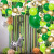 Amazon Hot Sale Jungle Party Balloon Arch Green Balloon Decoration Green Balloon Forest Series Suit