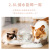 Brand Customized Pet Supplies Dog Bowl Double Bowl Rotatable Cat Bowl Automatic Water Storage Bowl Pet Drinking Water Feeder