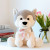 Cute Dog Family Plush Toy Soft and Adorable Husky Internet Celebrity Pet Dog Figurine Doll Children Gift Wholesale