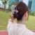 Korean Internet Influencer Hair Clip Pearl on the Back of the Head Grip Simple Girly Temperamental Elegant Head Clip Updo Large Horsetail Clip