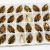 DongzhouCrystal 18 * 9mmHorseEyeSilverPlatedSharpBottomGlassDrillPhoneCaseStick-onCrystalsNailArtDIY Jewelry Accessories
