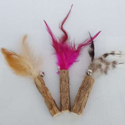 Factory Direct Sales Feather Polygonum Multiflorum Molar Rod Creative Cat Teaser Toy Bite-Resistant Feather Bell Cat Toy