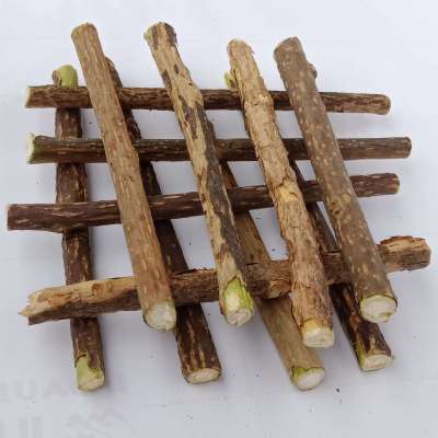 Wooden Polygonum Stick Cat Molar Rod Cat Tooth Cleaning Snack Cat Bite Stick Cat Toy Exciting Stick 8 Pack